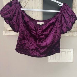 NWT Honey Bunch Top